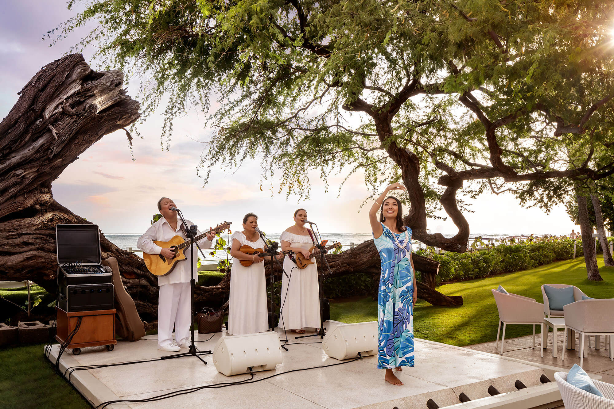 Villa Dinner Entertainment