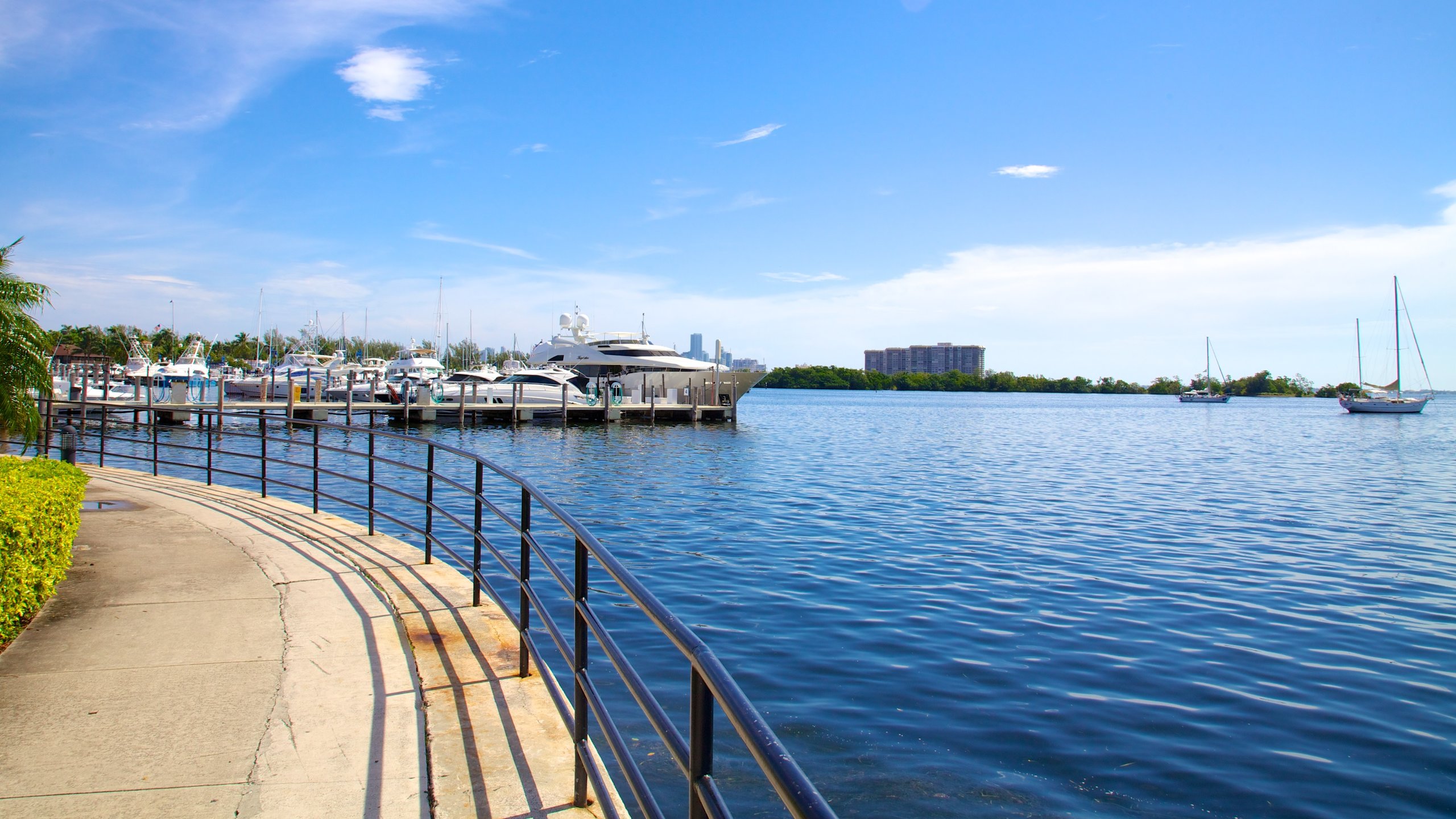 Coconut Grove Tranquility