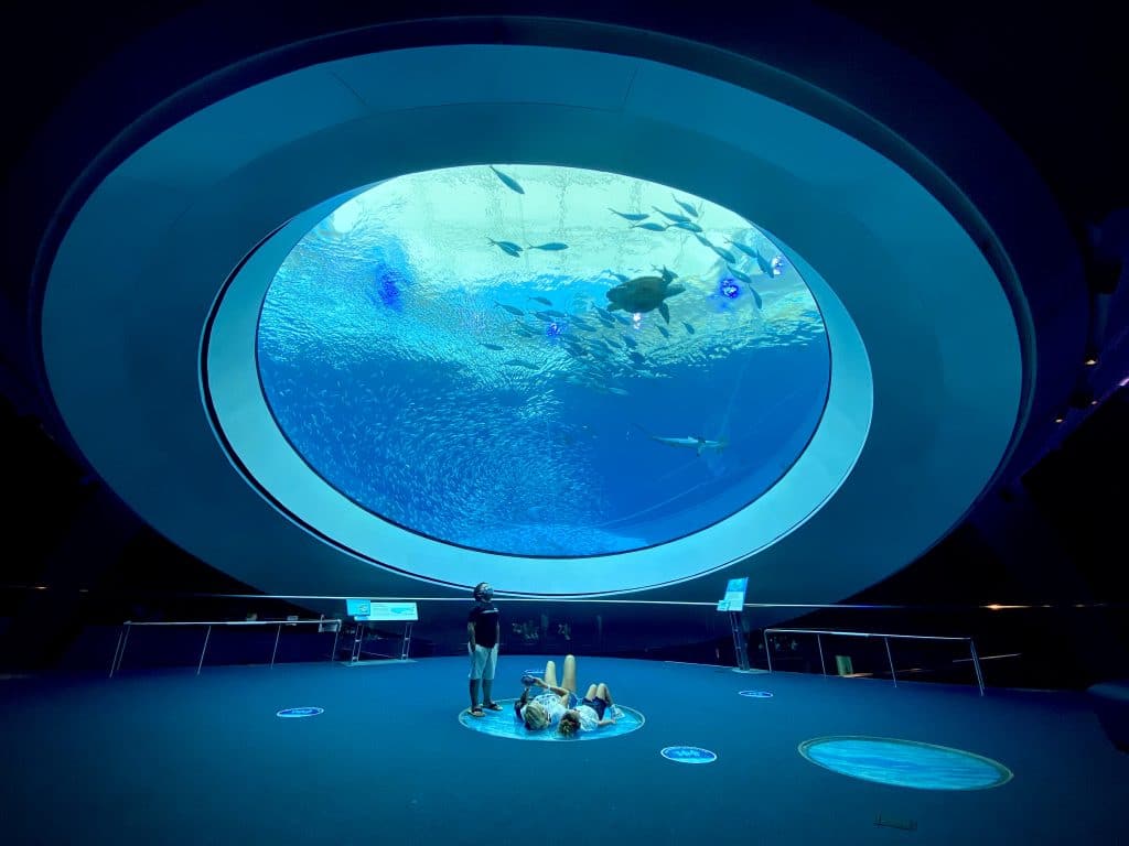 Frost Science Museum Miami