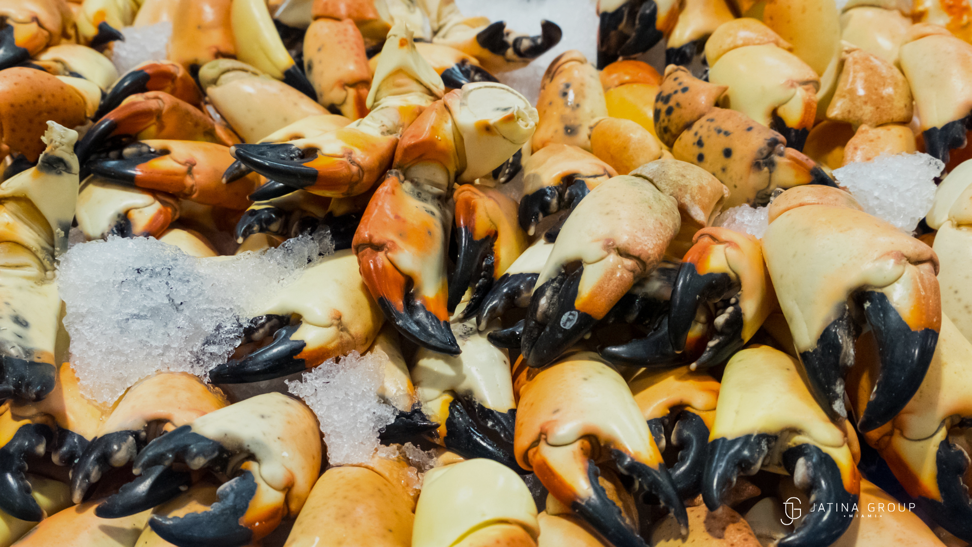 Stone Crab Season Regulated Miami