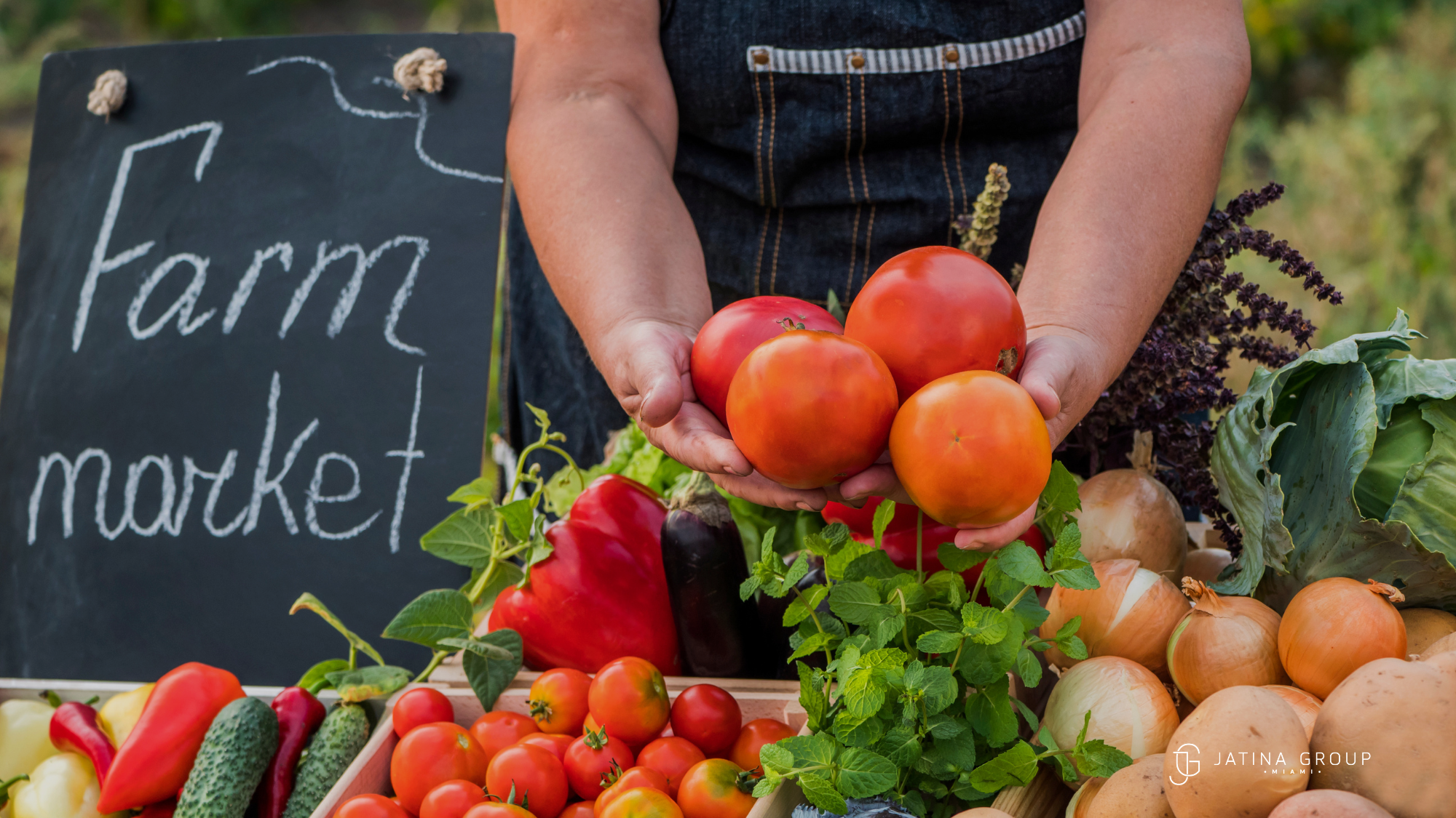 Coconut Grove Wellness Market