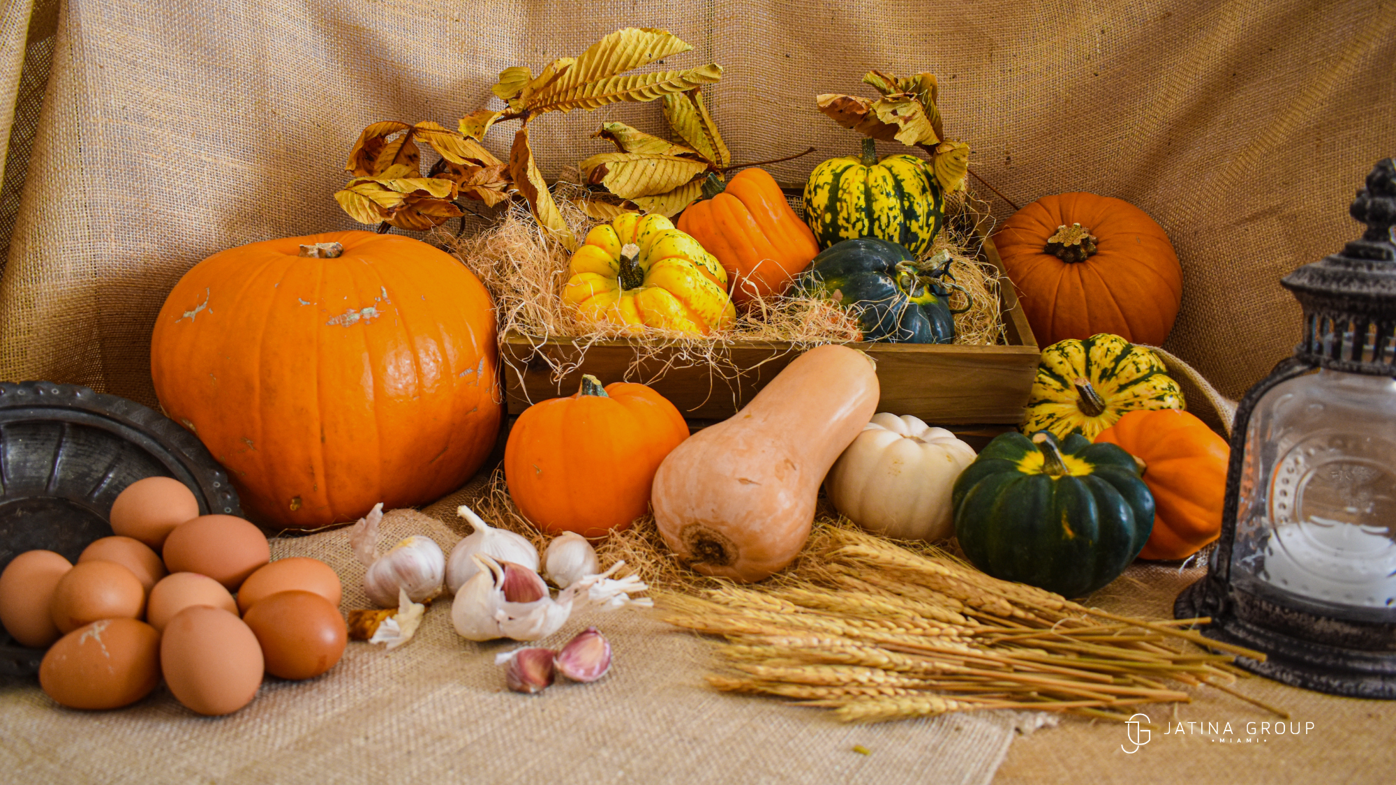 Coconut Grove Pumpkin Festival