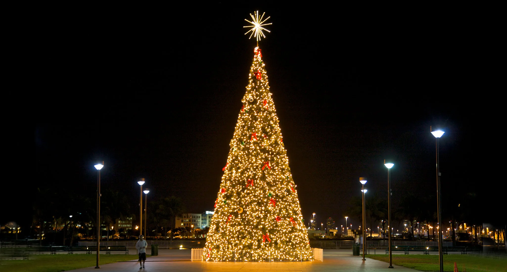 Luxury Villa Christmas Tree Night