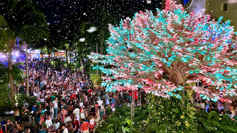 South Beach Christmas Lights Festival