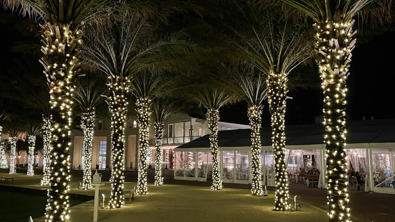 South Beach Luxury Christmas Villas