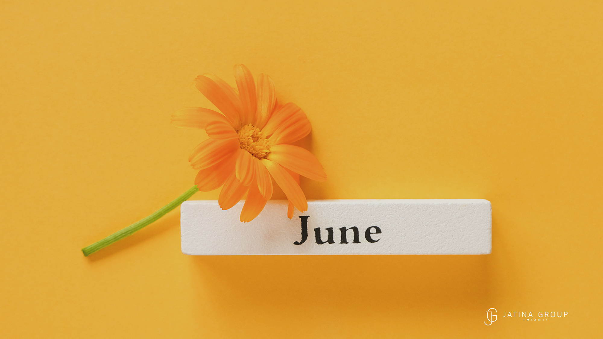 June Warm Lively Better Value
