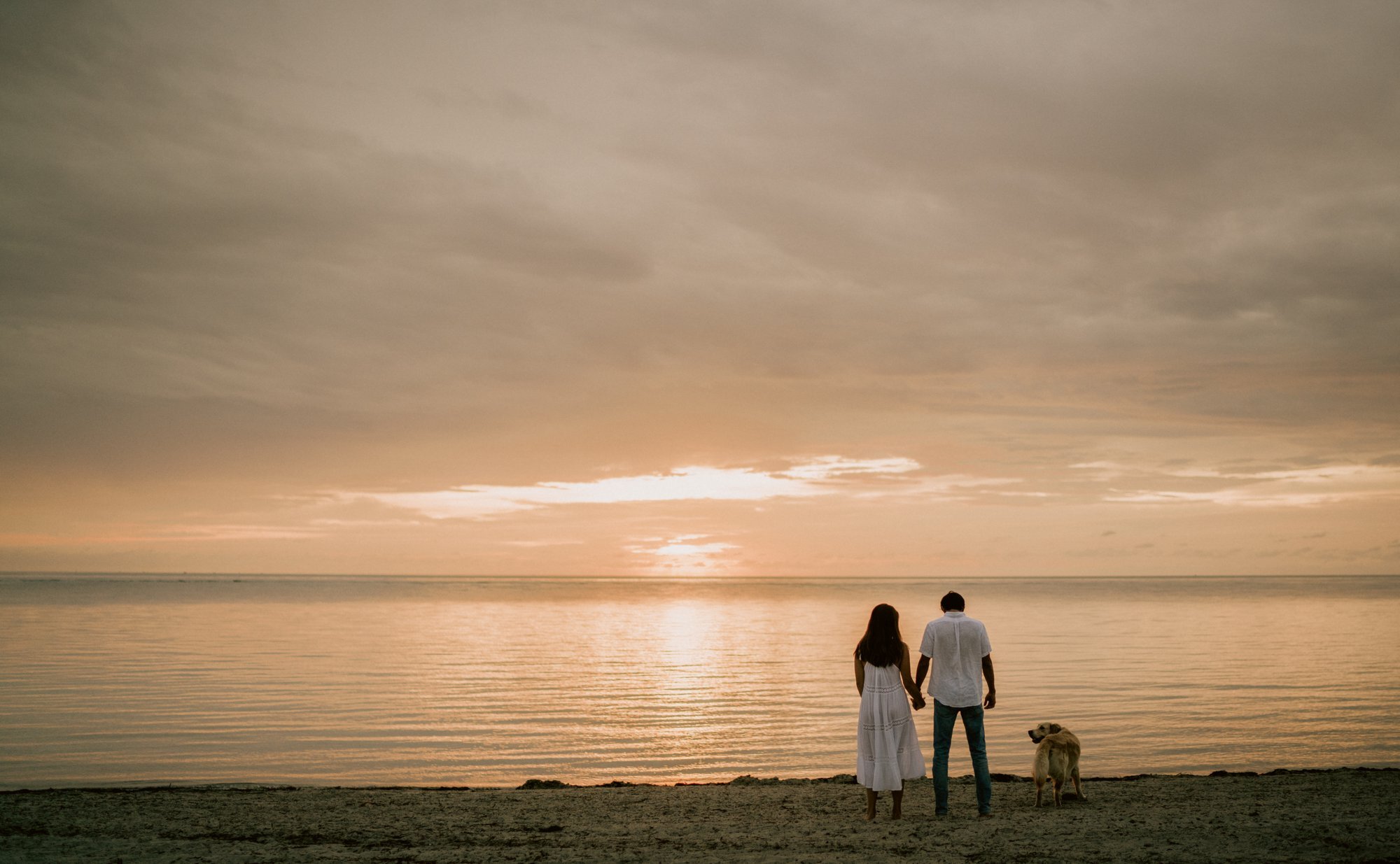 Peaceful Sunset Beach Walk