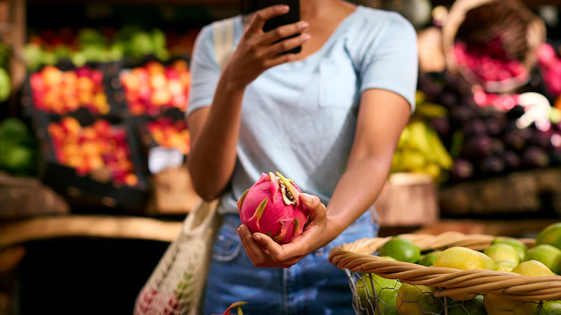Miami Farmers Market Morning