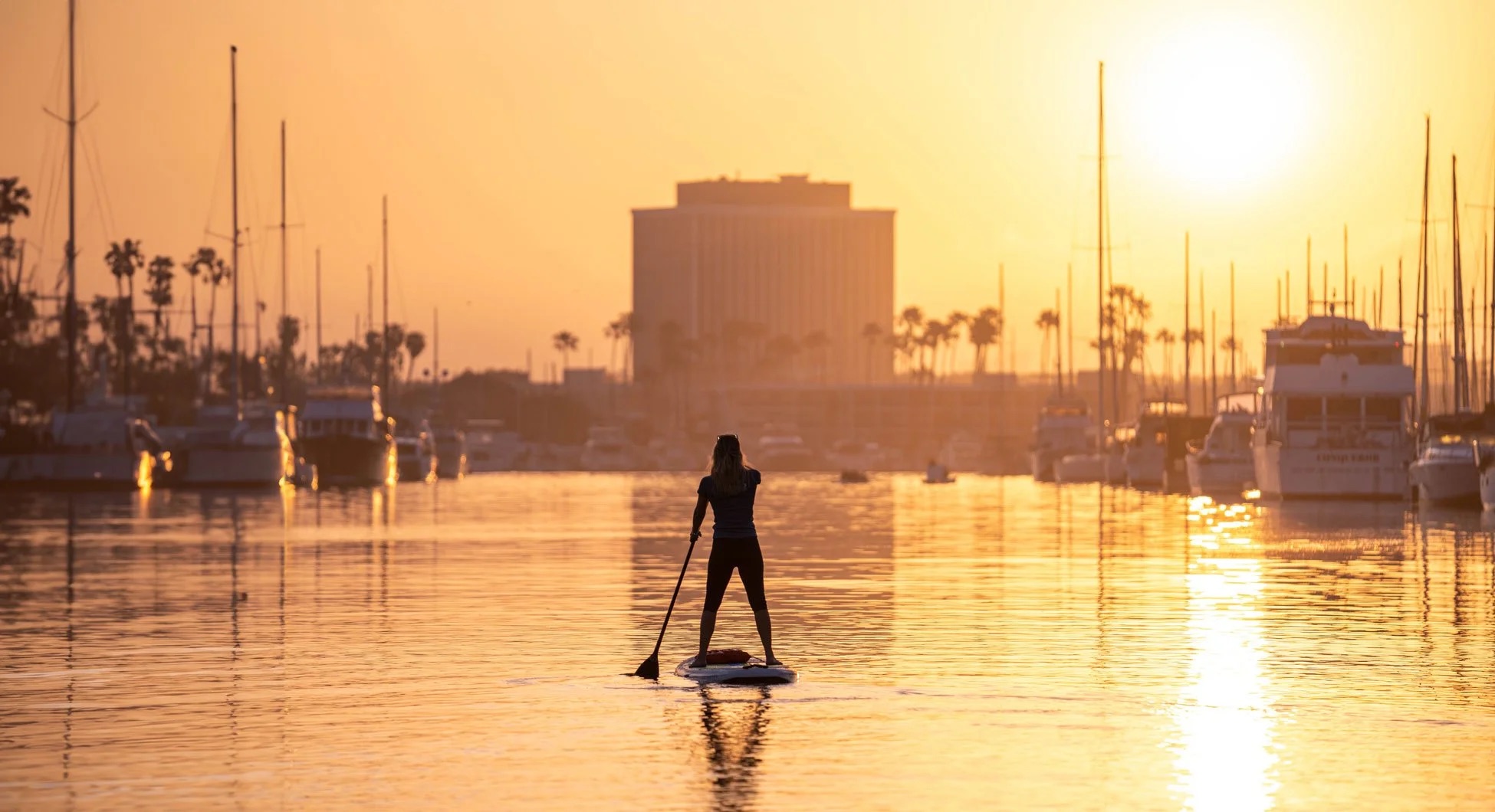 Paddleboarding Hollywood Png 