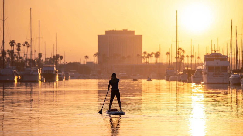 Paddleboarding Hollywood Png