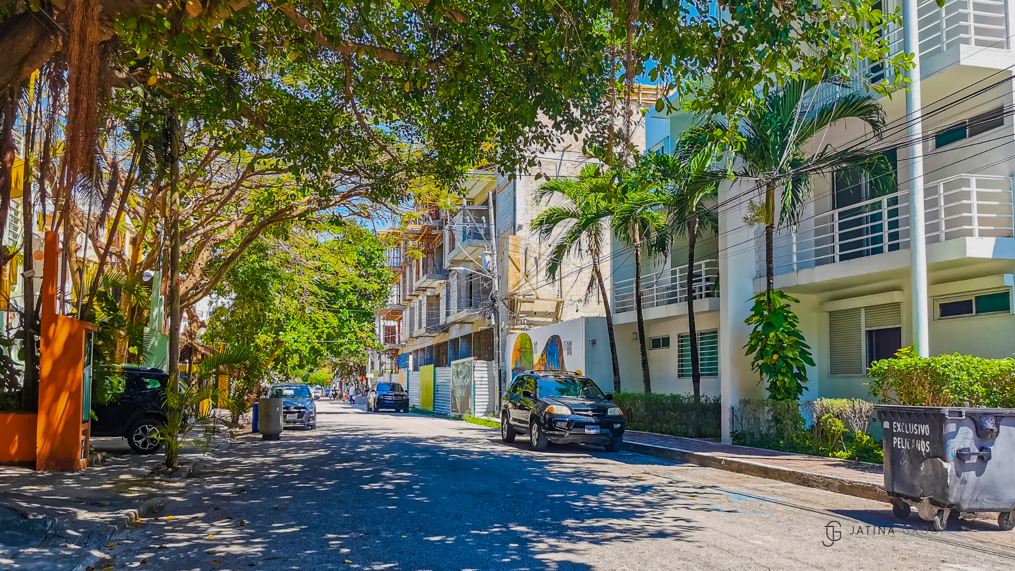 Coconut Grove Banyan Tree Street