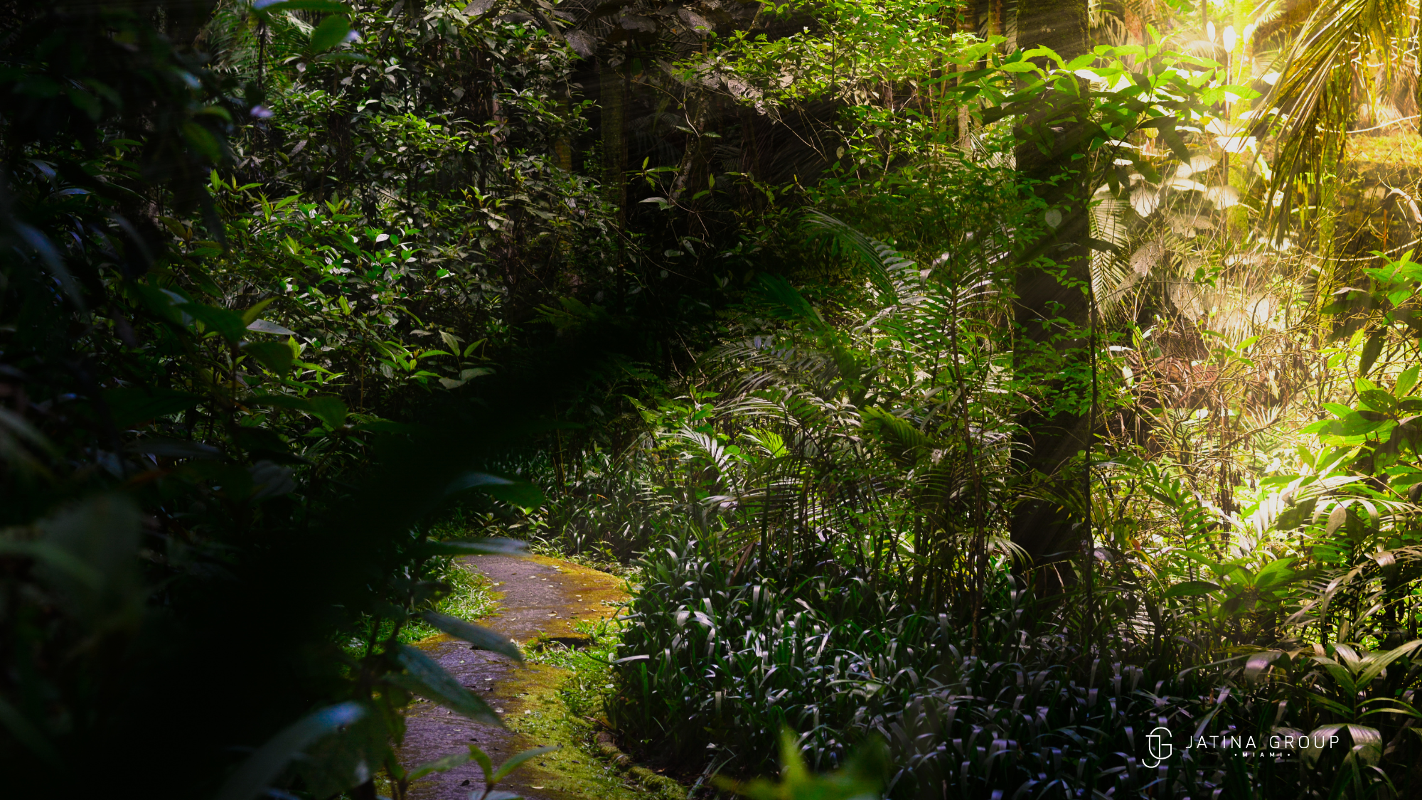 Enchanted Forest Miami