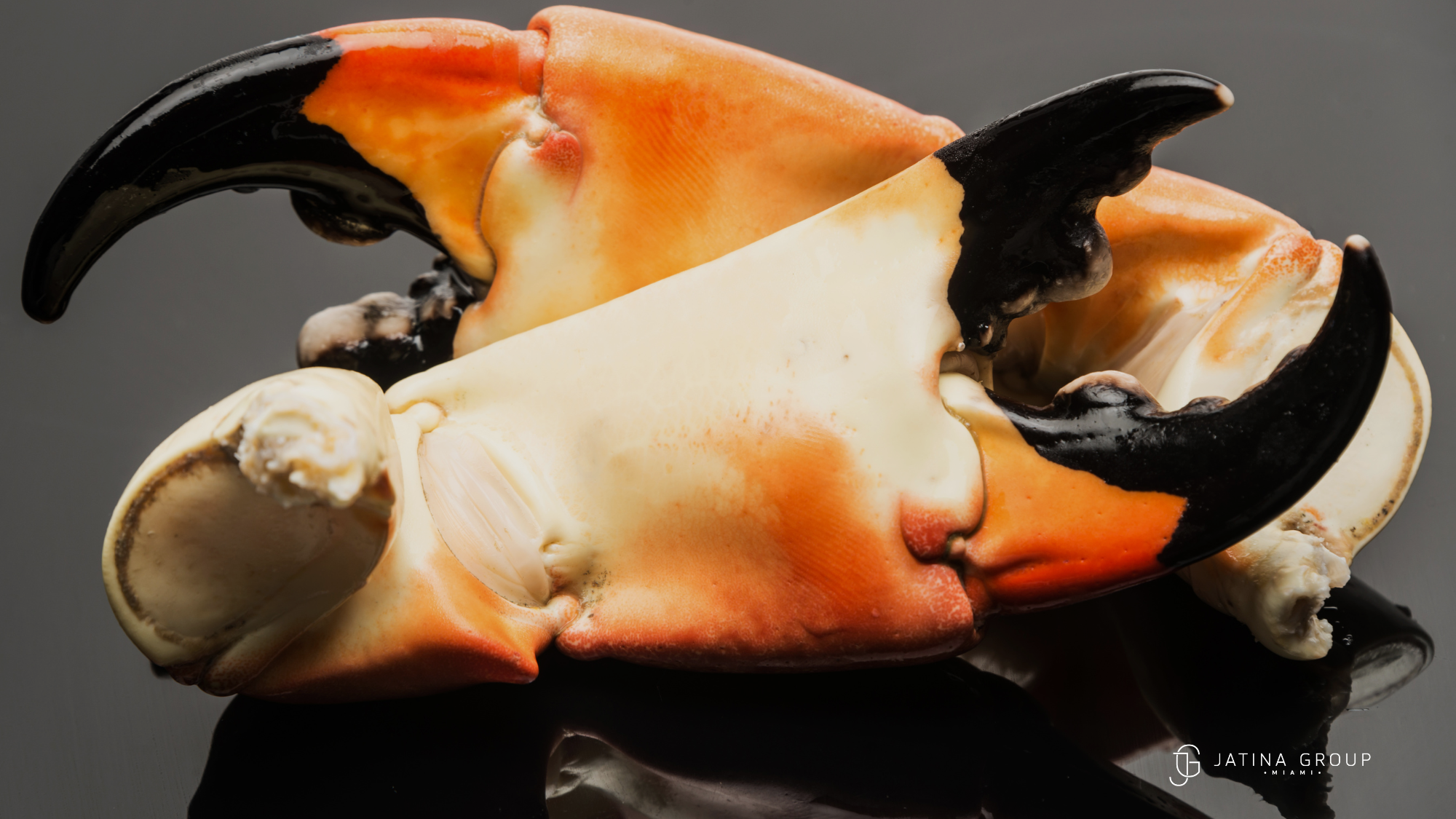 Stone Crab Season Miami