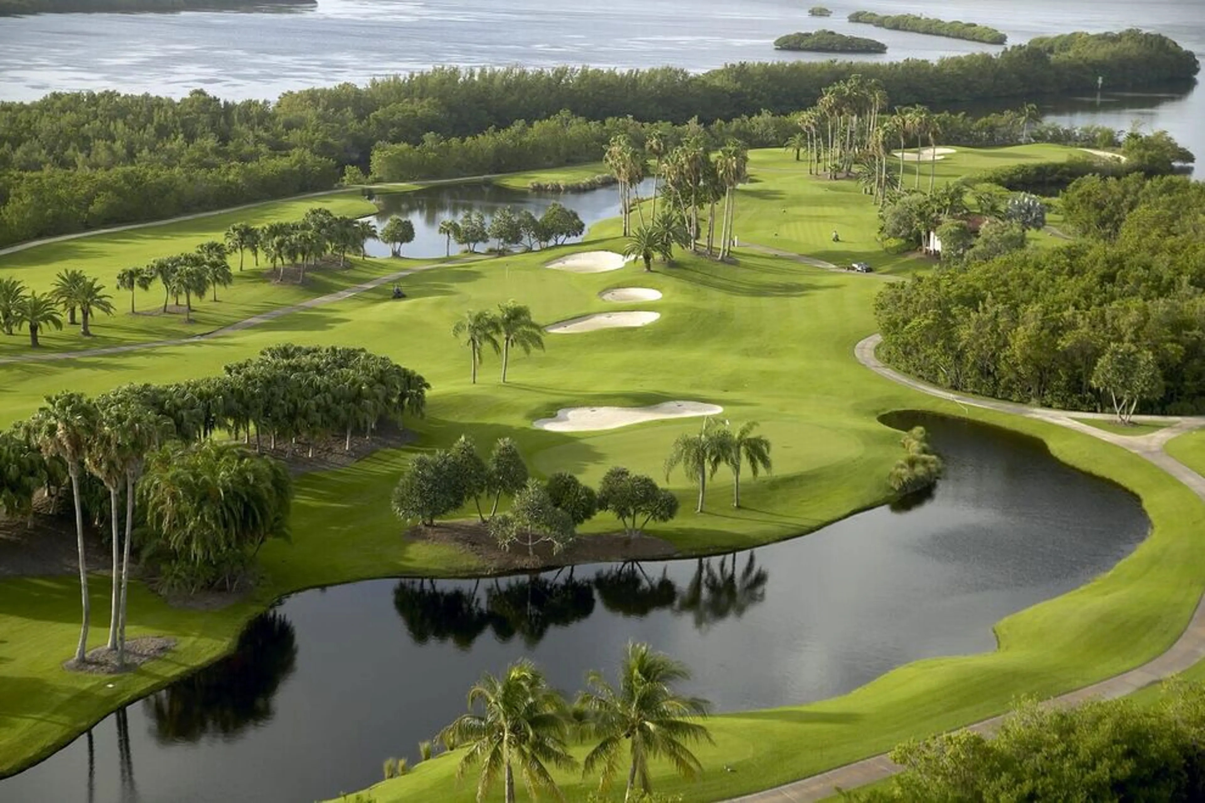 The Best Golf Courses Near Miami Beach Luxury Vacation Homes 