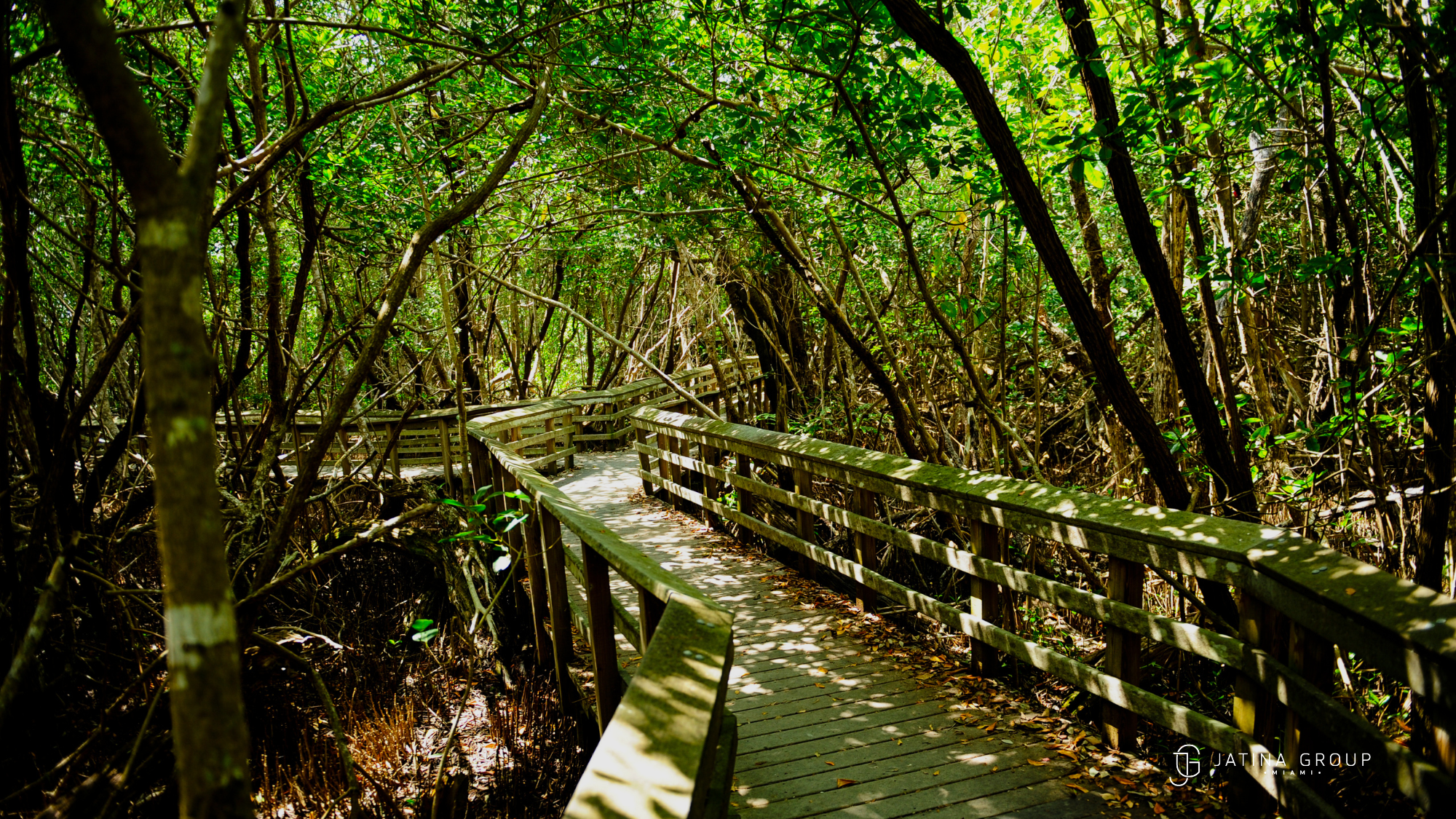 Everglades National Park Overlook