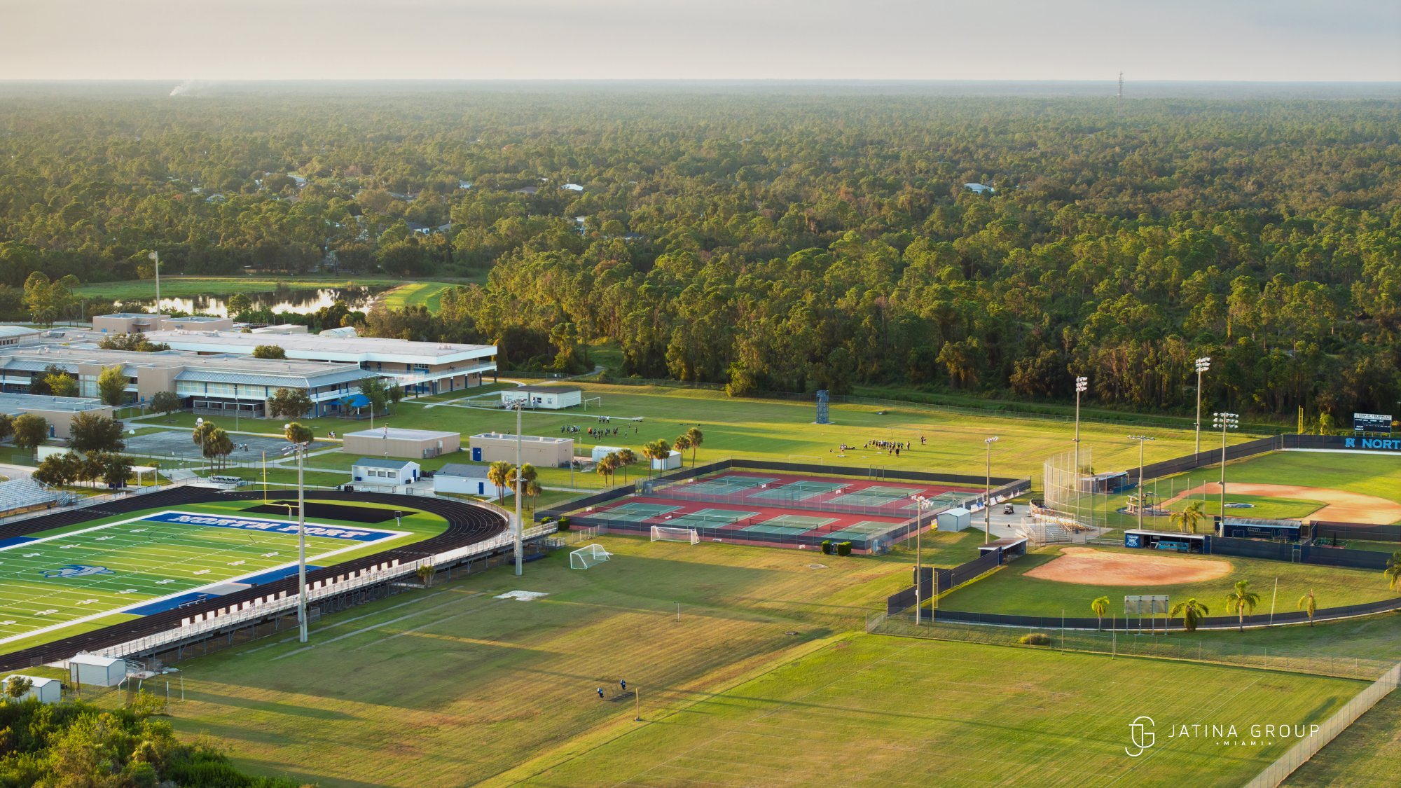 Spring Training Crowd Sunny Afternoon