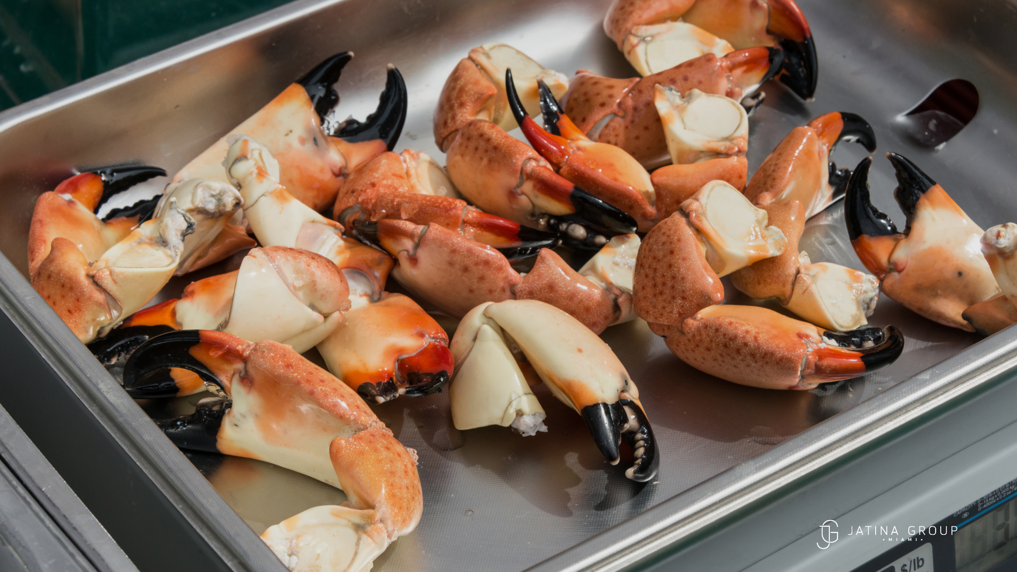 When Is Stone Crab Seson Miami