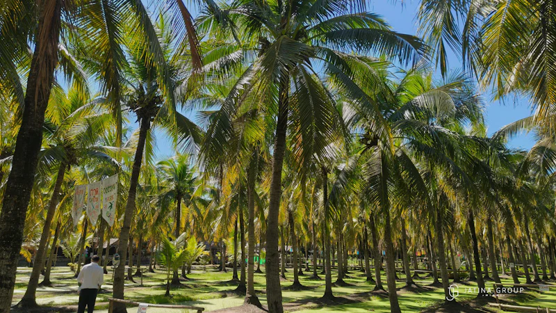 Kampong Coconut Grove Miami