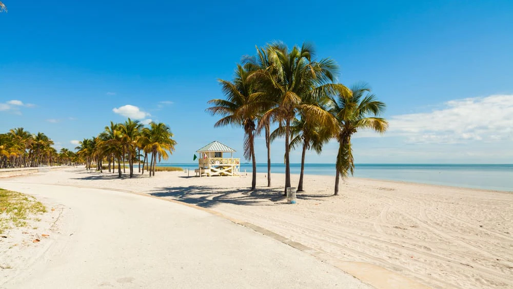 Miami Weather by Month: What Each Season Brings - Jatina Group