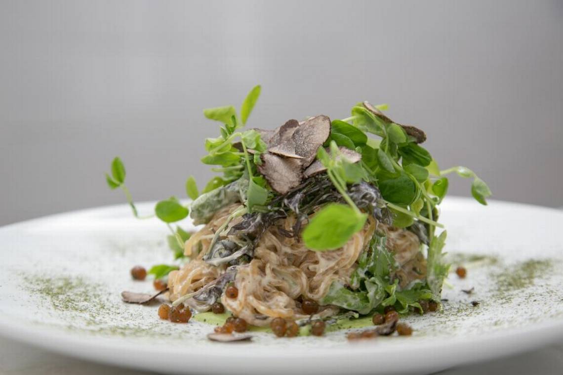 Plant Miami Vegan Farm Dining