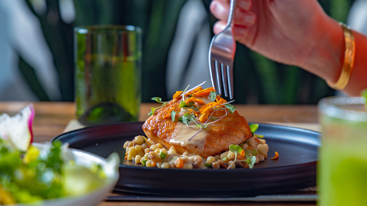 Verde Organic Dining Biscayne