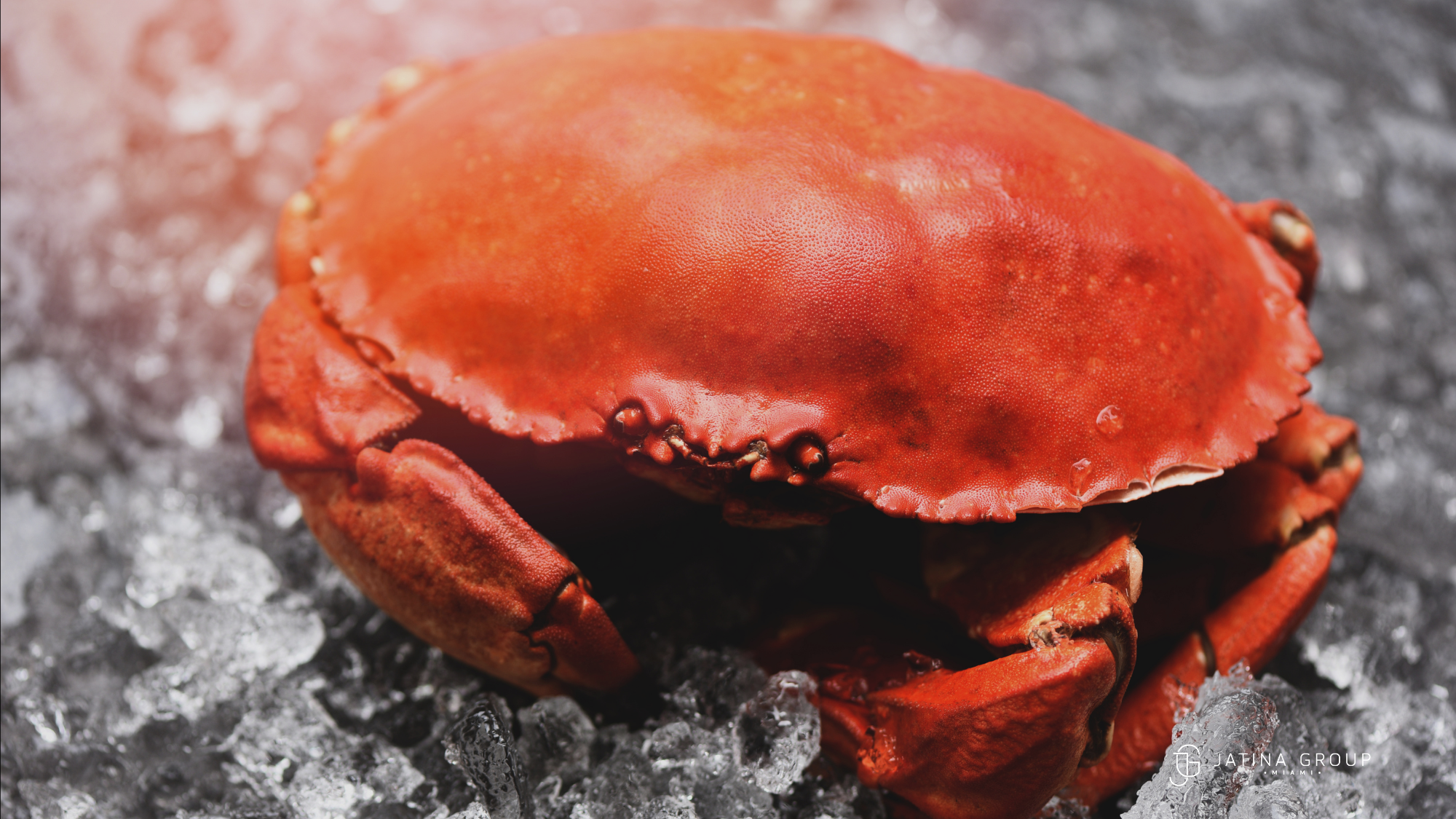Best Stonecrab Experience Miami