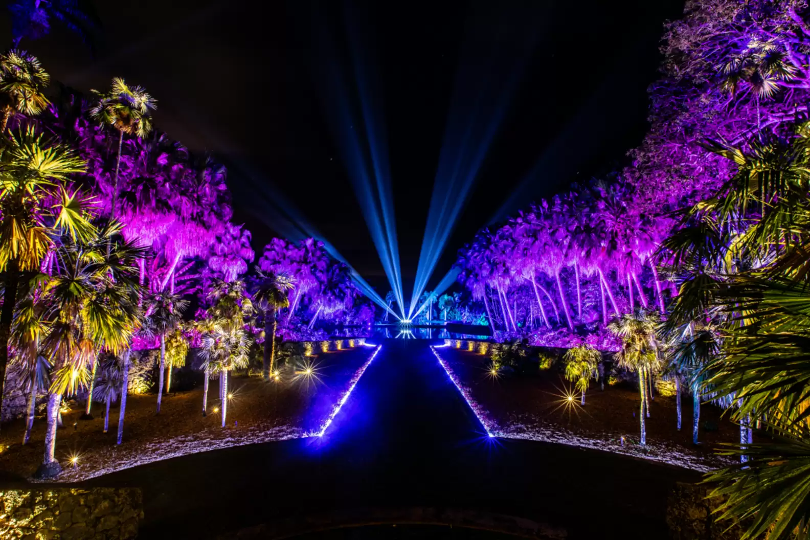 Miami Beach Botanical Garden Glow