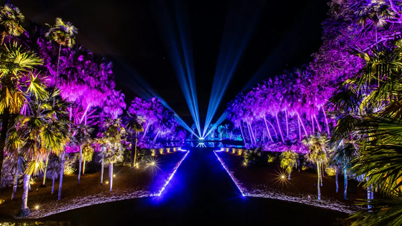 Miami Beach Botanical Garden Glow