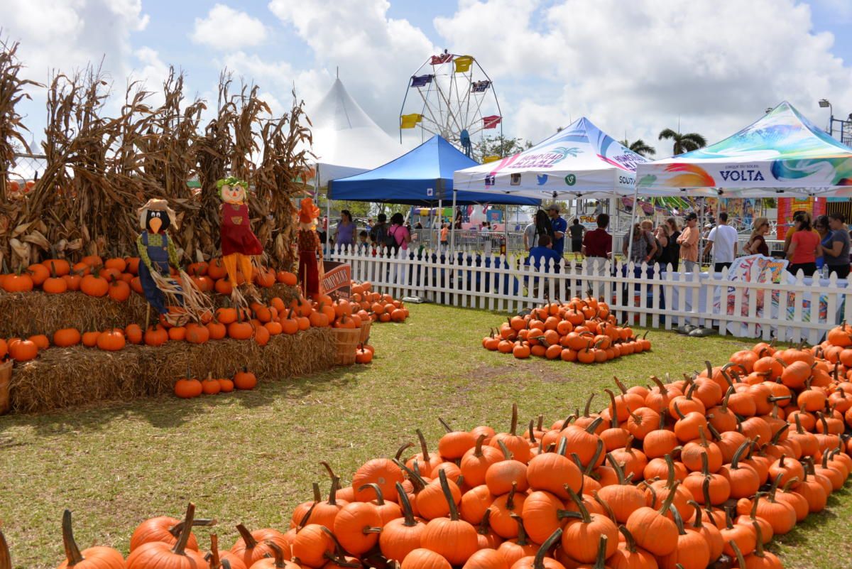 Coconut Grove Pumpkin Festival
