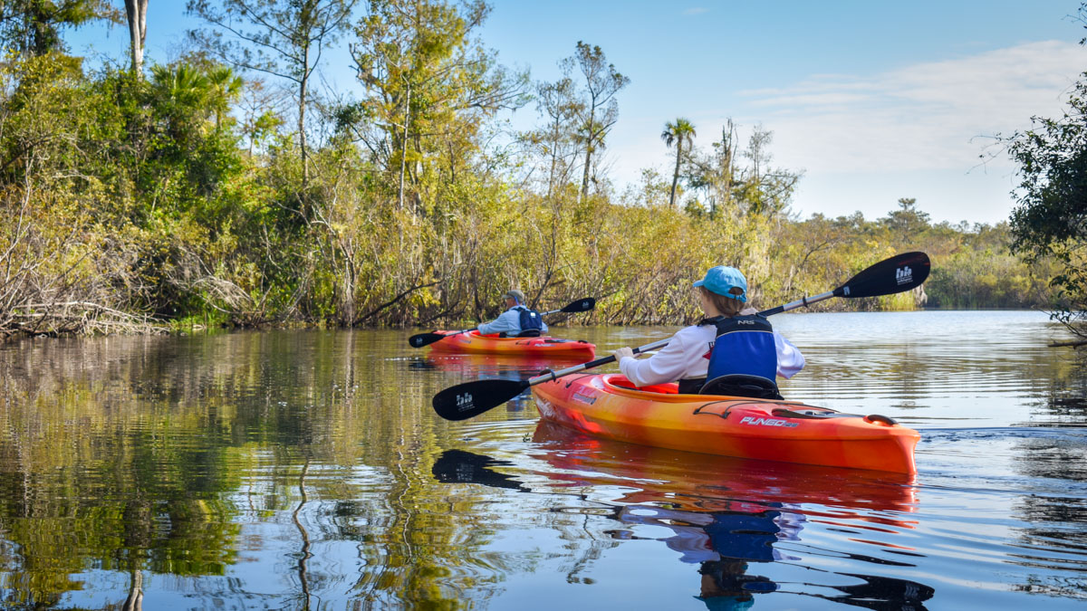 Miami Everglades Kayaking Adventure