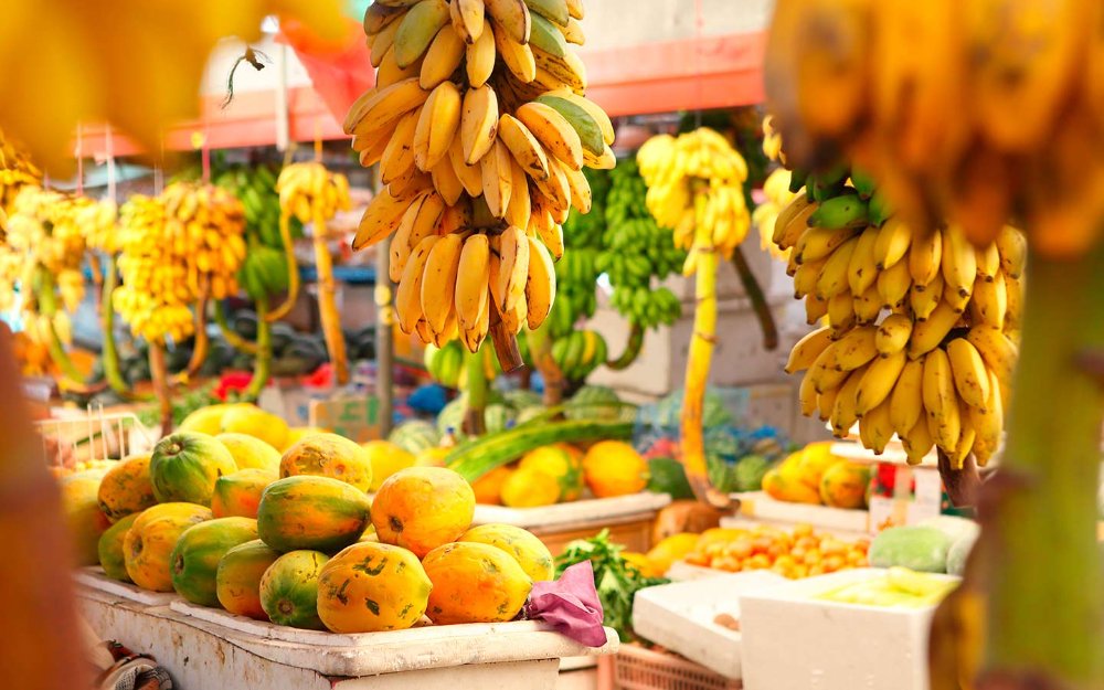 Redland Fruit Festival Miami