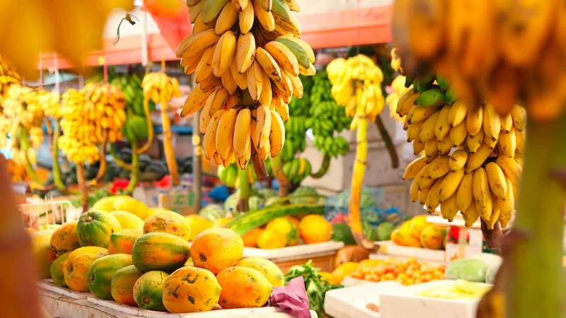 Redland Fruit Festival Miami