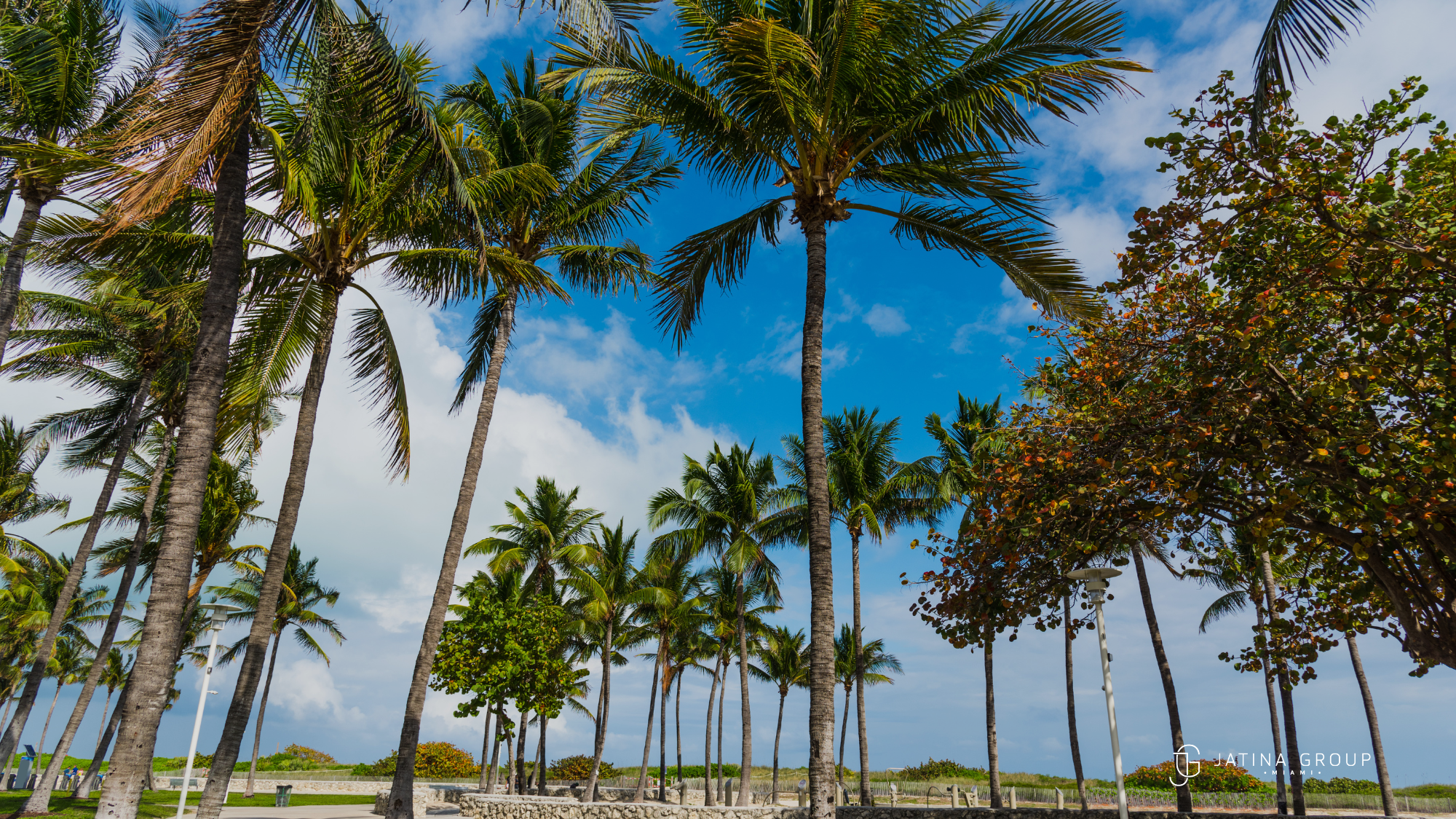 South Beach Boardwalk Lummus Park Palm Trees Lifeguard