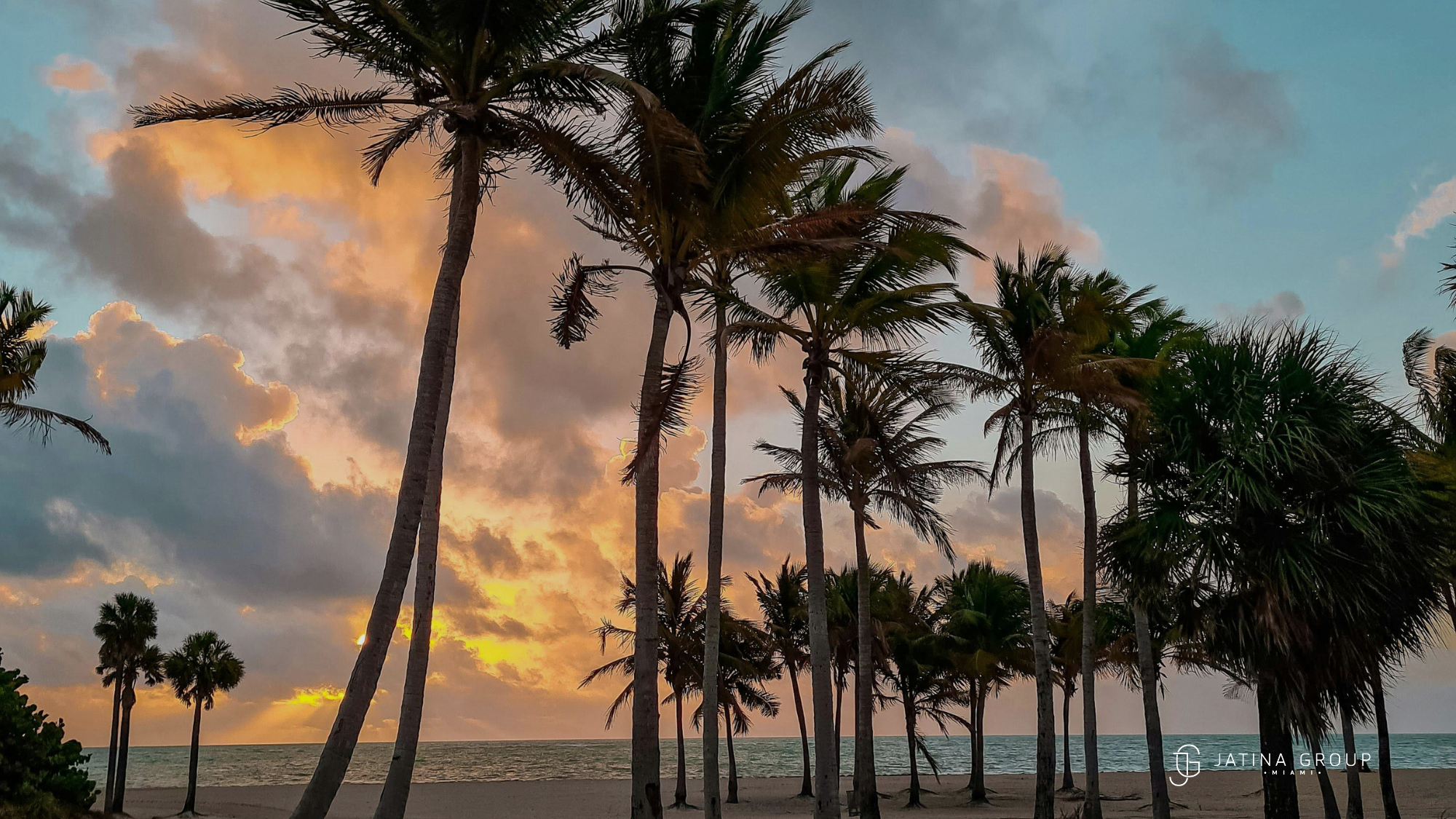 Things To Do Miami 2026