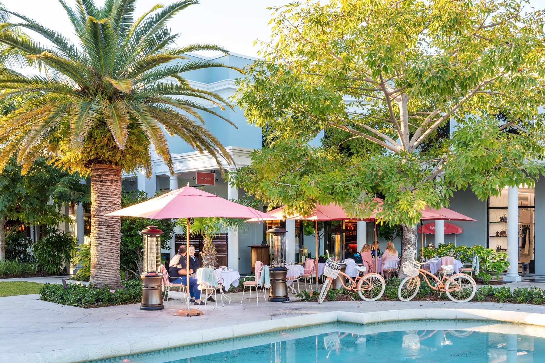 Royal Poinciana Palm Beach