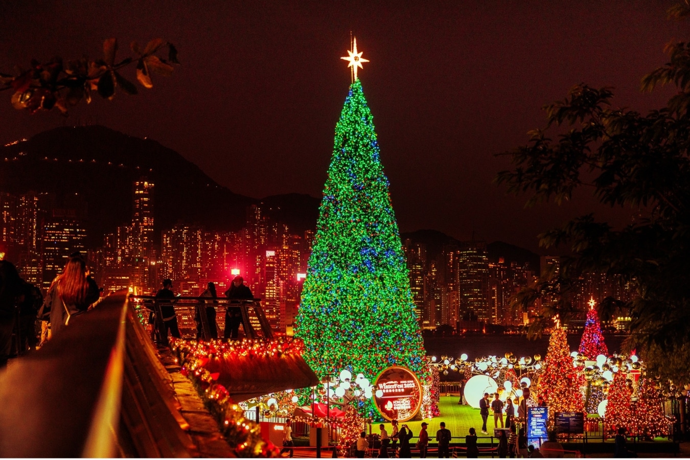 Bayfront Park Holiday Lights