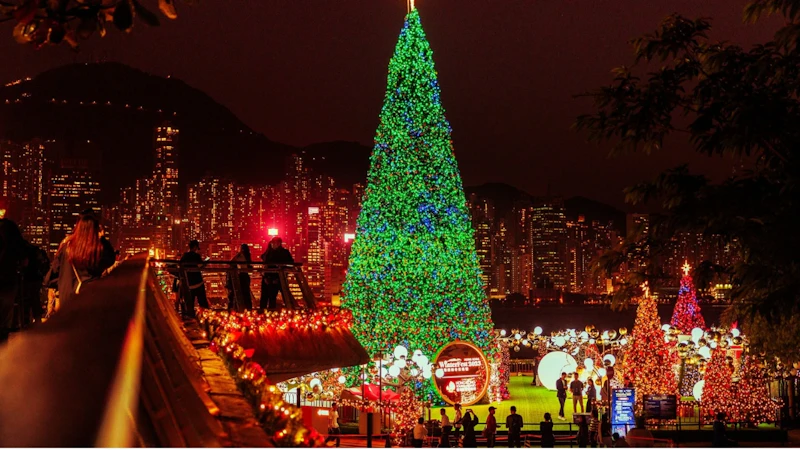 Bayfront Park Holiday Lights