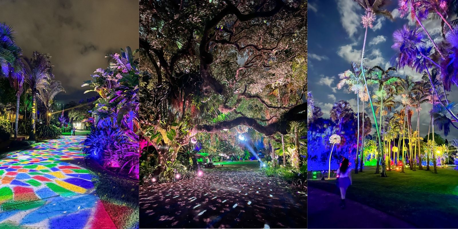 Fairchild Garden Nightgarden Lights