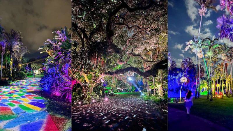 Fairchild Garden Nightgarden Lights