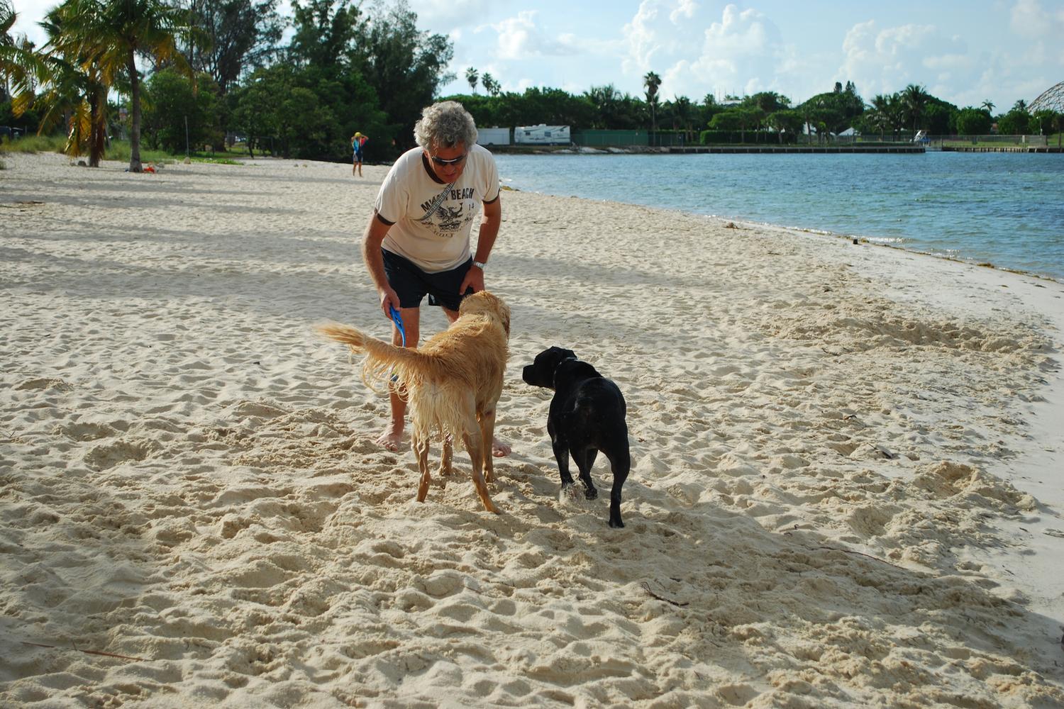 Miami Dog Beach Hobie