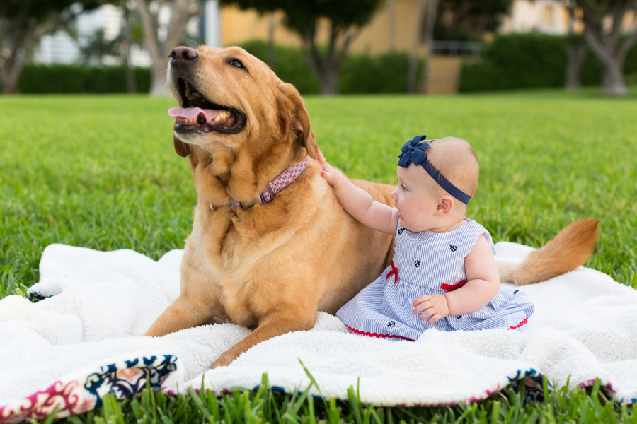 Miami Pet Photoshoot Wynwood