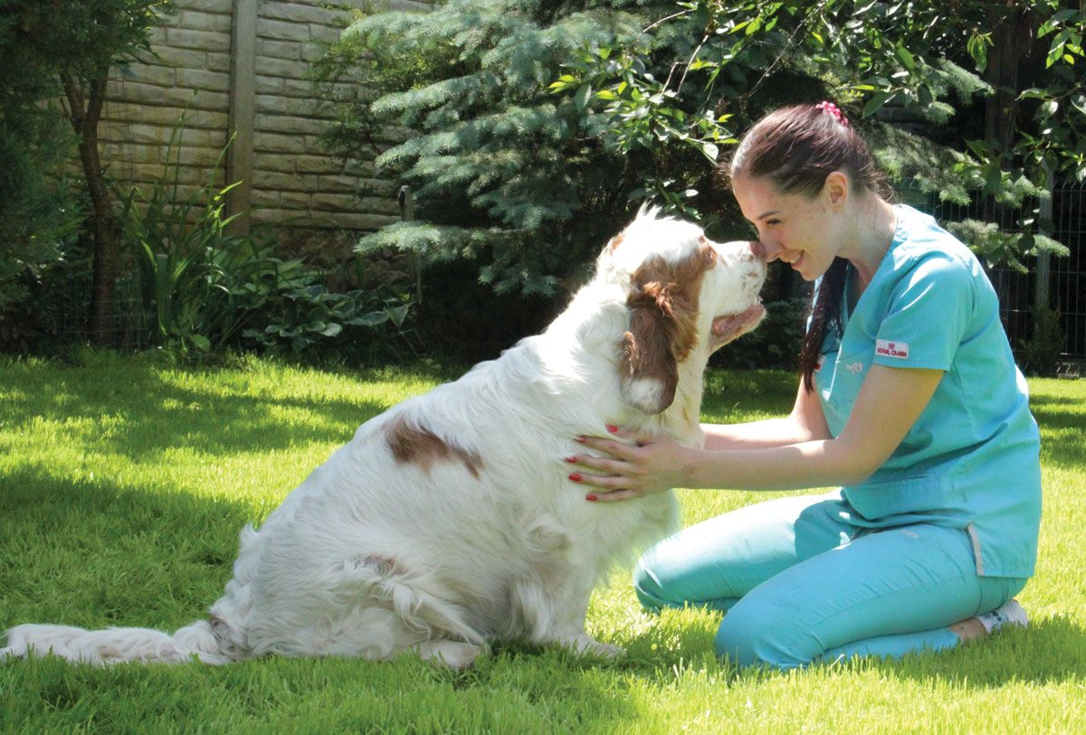 Miami Pet Vet Wellness