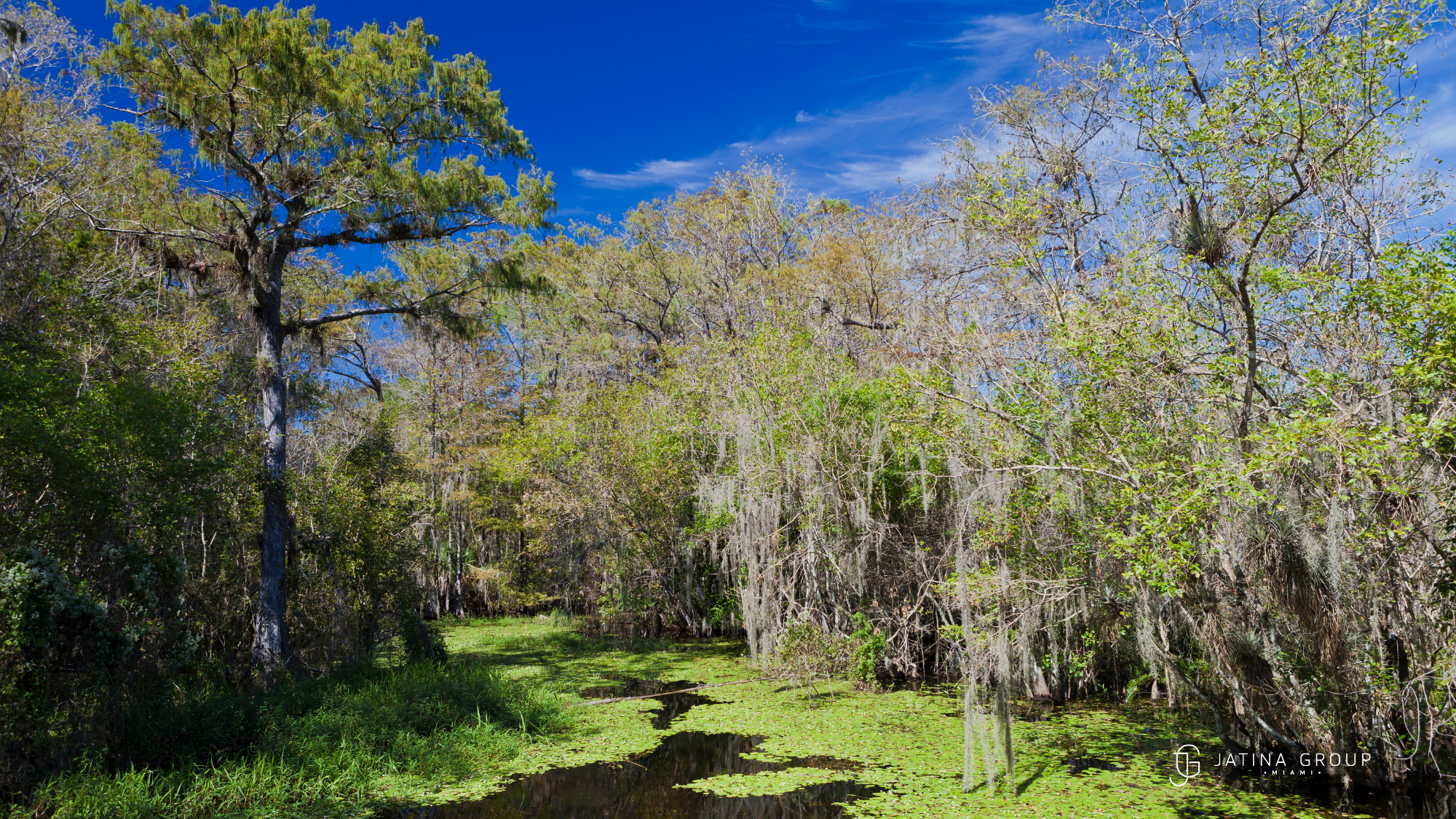 Big Cypress National Reserve