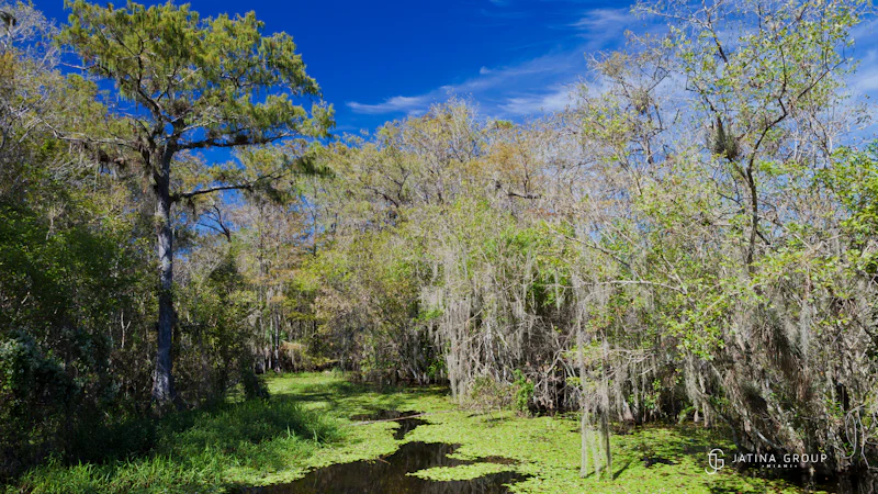 Big Cypress National Reserve