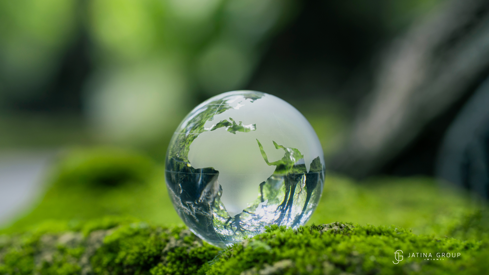 Florida Environmental Festival Panel