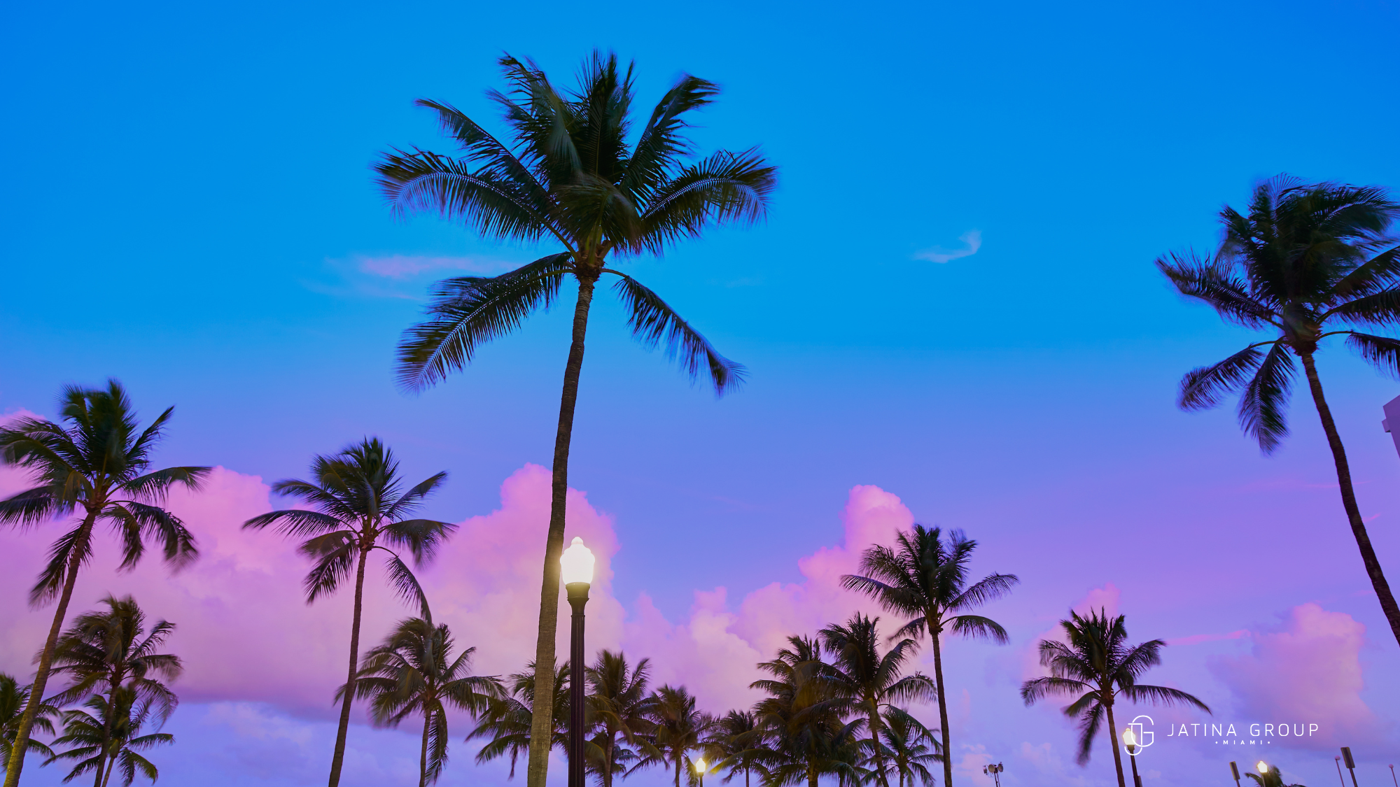 Nikki Beach Miami Party