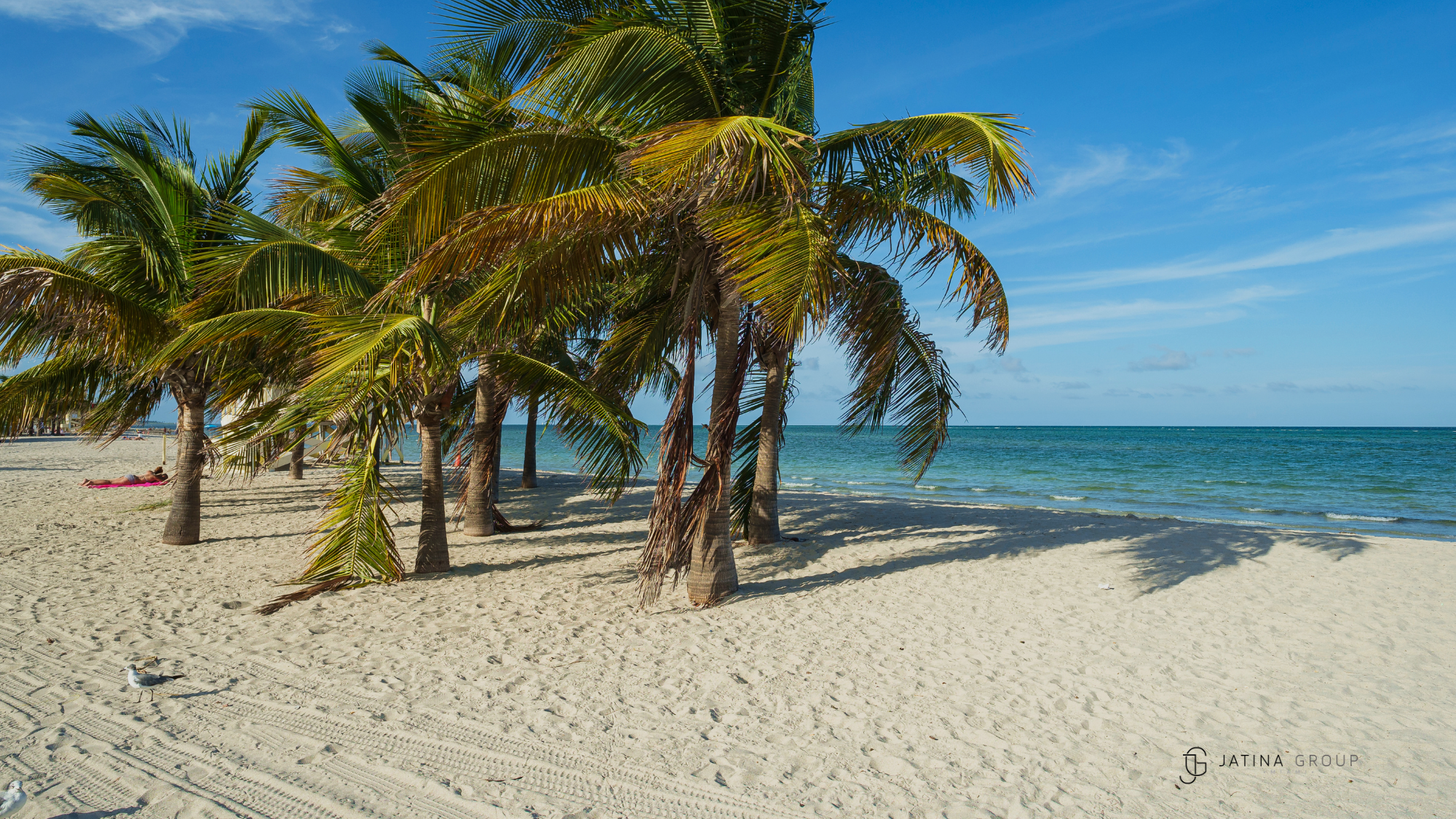 Crandon Park Key Biscayne Turquoise Water