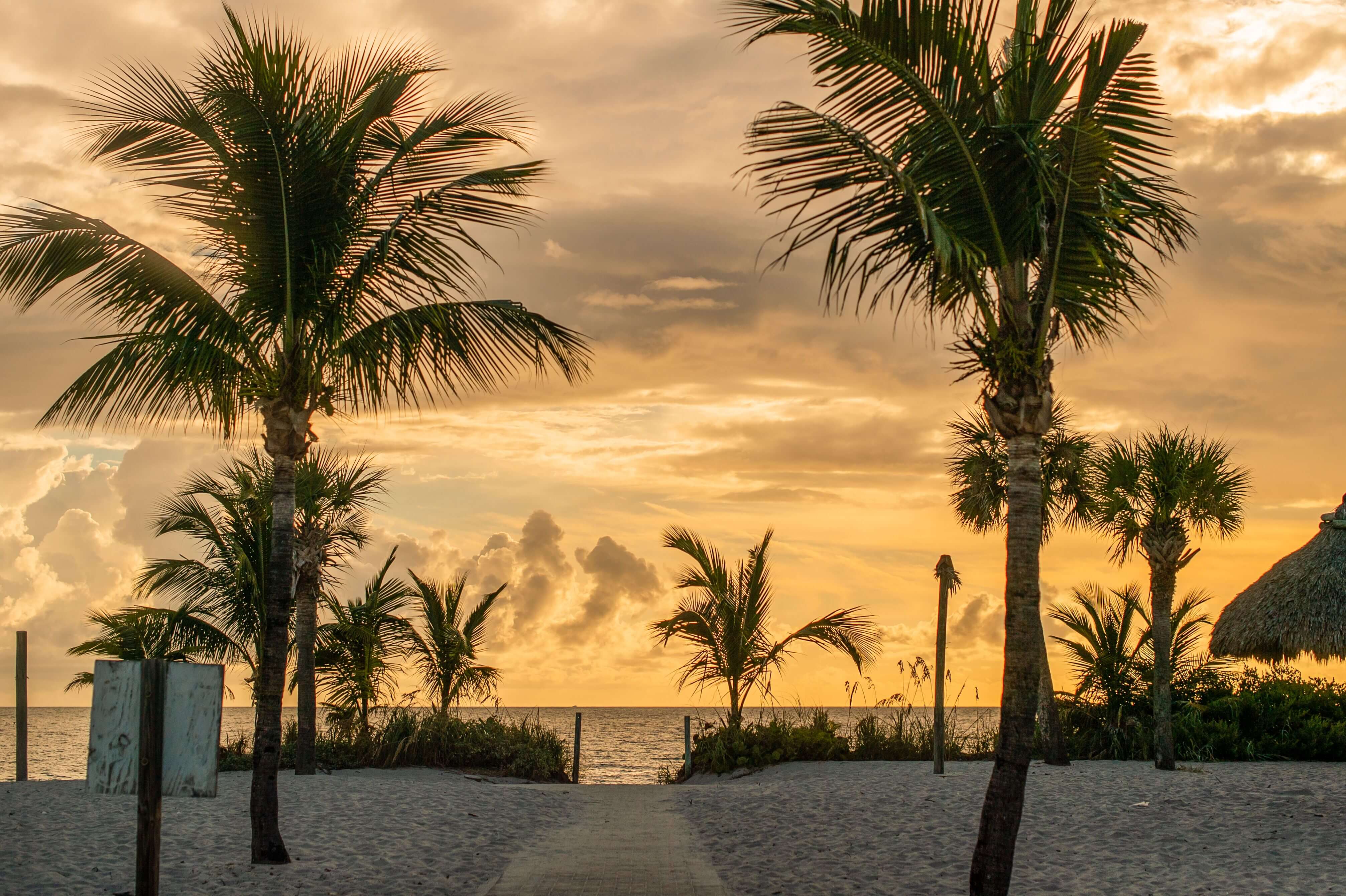 Key Biscayne Tropical Paradise
