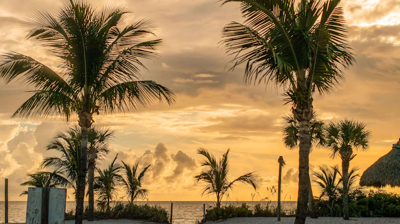Key Biscayne Tropical Paradise