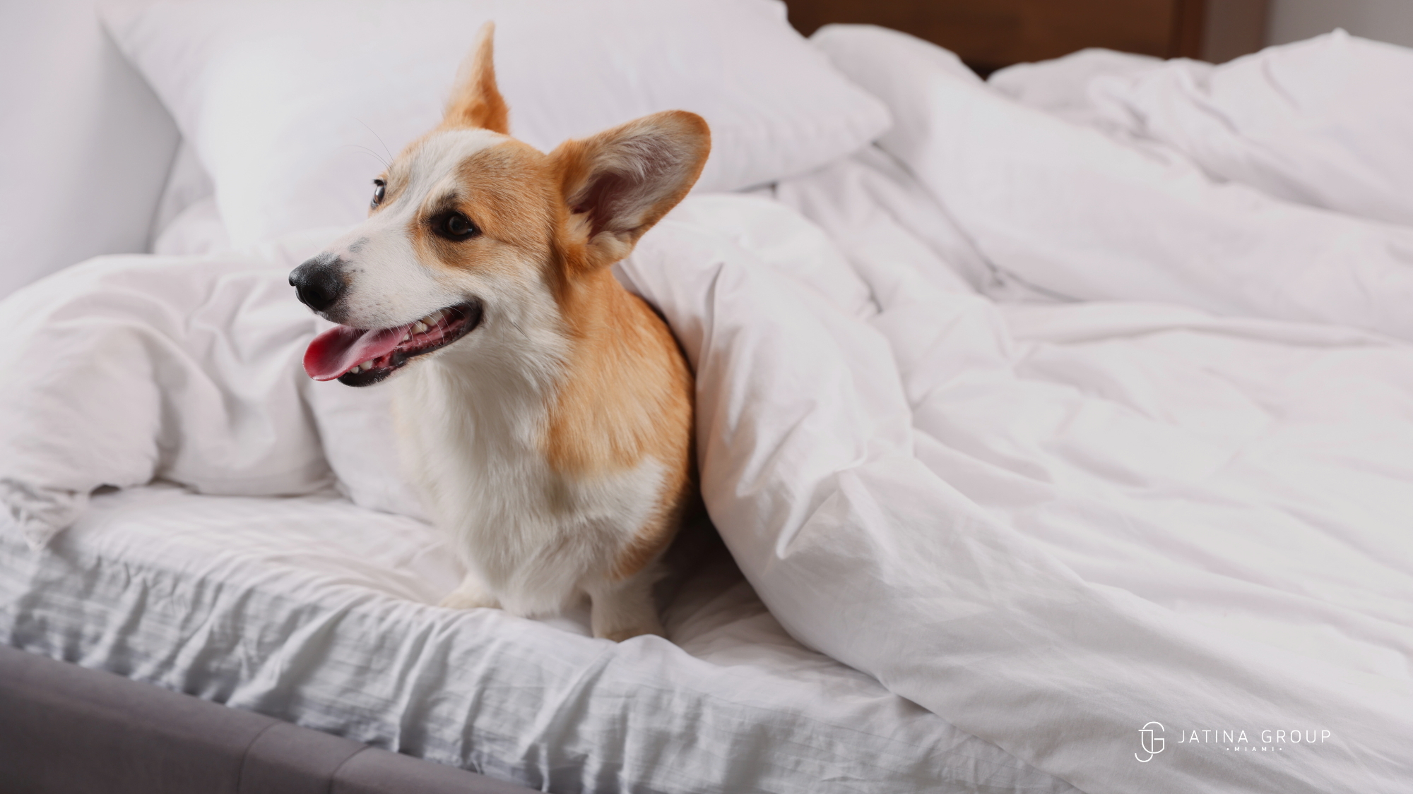 Pet Friendly Villa Miami